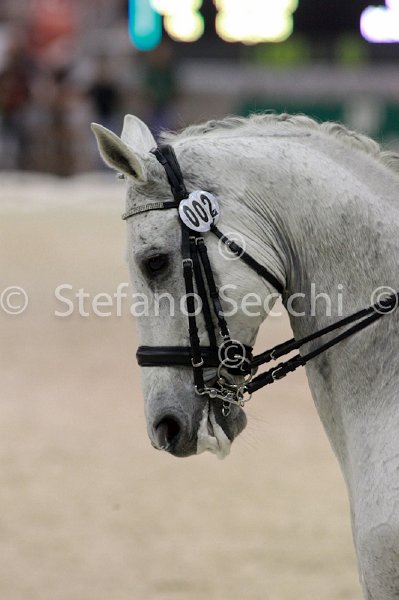 DUPERDU_PASSE PARTOUT_MILANO_2011_SS3_4891.jpg